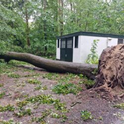 Na storm is het bos gevaarlijk